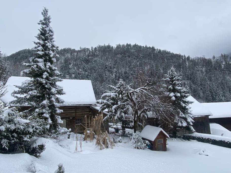 Panorama Wohnung Rungelin Bludenz Exteriér fotografie